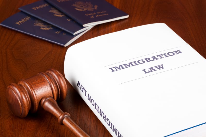 Passports_and_Immigration_Law_Book